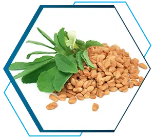 Fenugreek prostacleanse